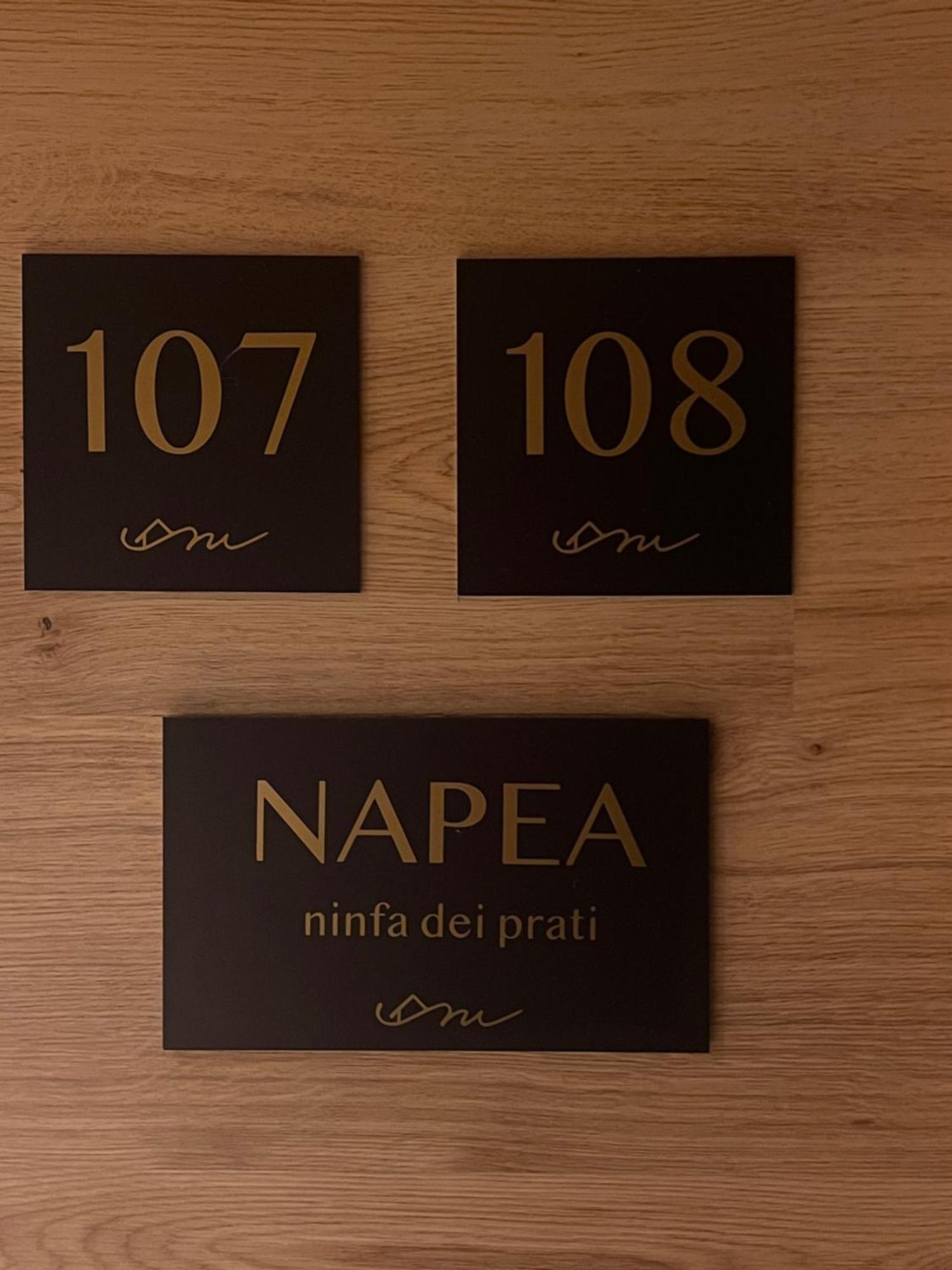 Anemone Bianco Suite Rooms Пассо-дель-Тонале Экстерьер фото